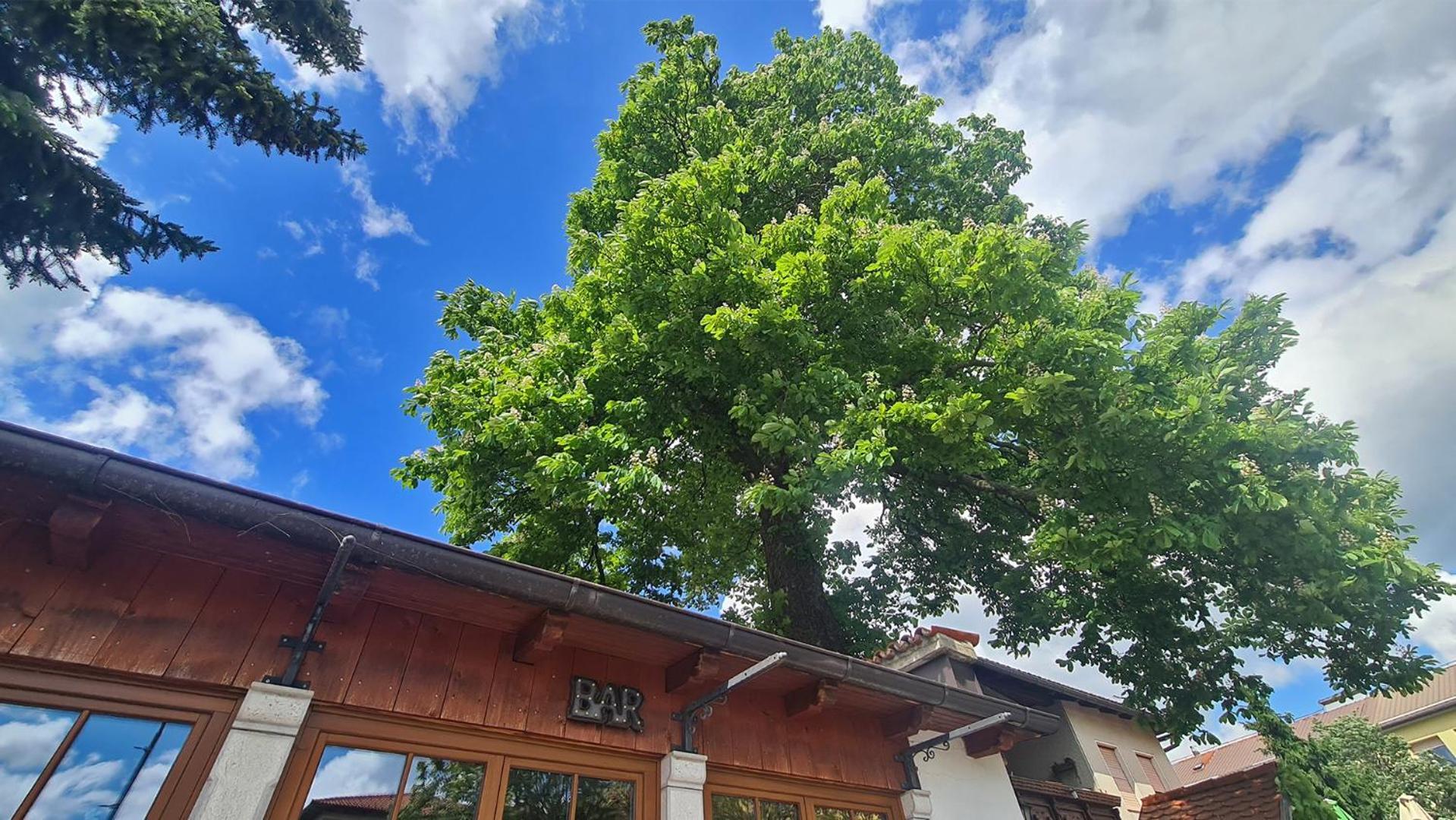 Brne Rooms Postojna Exterior foto