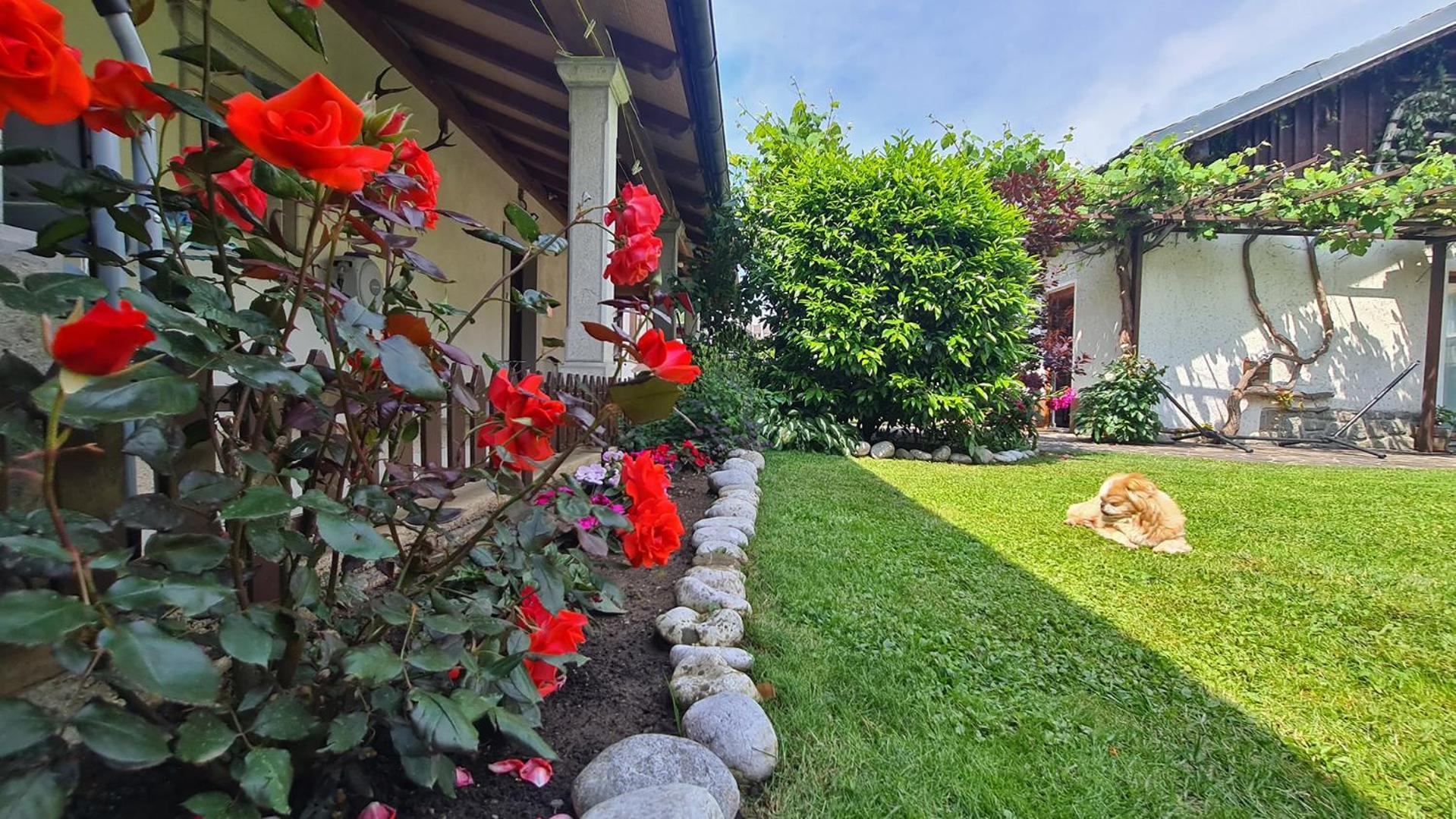 Brne Rooms Postojna Exterior foto